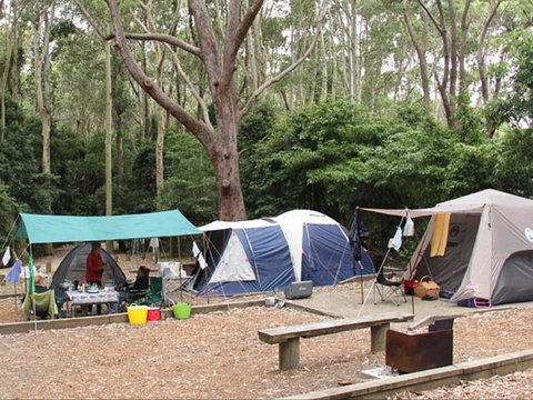 Pebbly Beach Campground - Yuraygir National Park - Foster Accommodation 0