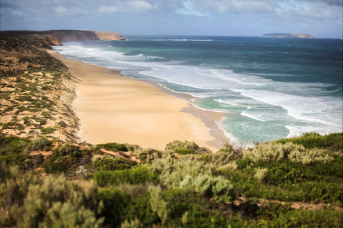 Mallee Lodge - Innes National Park - Foster Accommodation 8