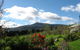 Plovers Ridge Country Retreat - thumb 0