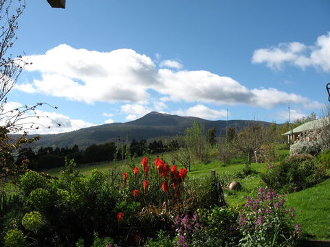 Plovers Ridge Country Retreat - Foster Accommodation 0