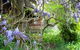 Plovers Ridge Country Retreat - thumb 5
