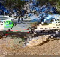 Cowell Harbor View Caravan Park - Foster Accommodation