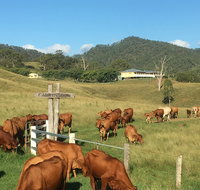 Farringdon Homestead - Foster Accommodation