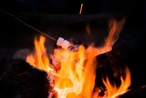 Glenworth Valley Outdoor Adventures Camping - Foster Accommodation 4
