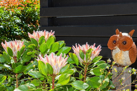 Killior'ra - Foster Accommodation 3