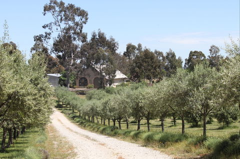 L'Oliveraie - Foster Accommodation 2