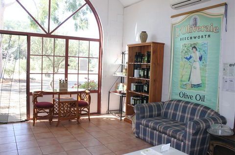 L'Oliveraie - Foster Accommodation 8