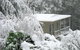 Lyrebird Cottages - thumb 2