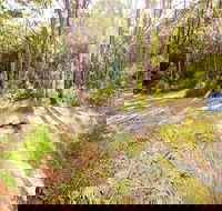 Mackaway Bay campground - Foster Accommodation