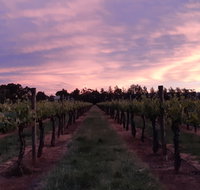 Milawa Vineyard Views - Foster Accommodation