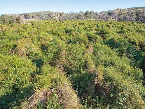 Shelley Head Campground - Foster Accommodation 1