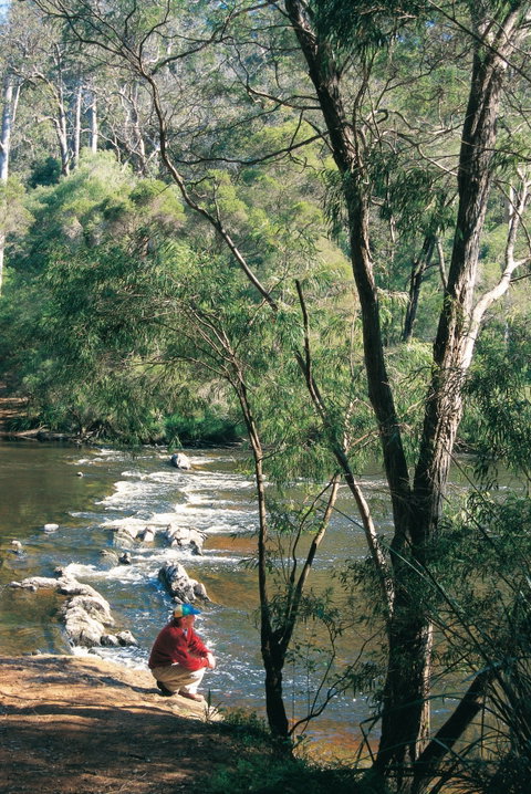 Warren Camp At Warren National Park - Foster Accommodation 0
