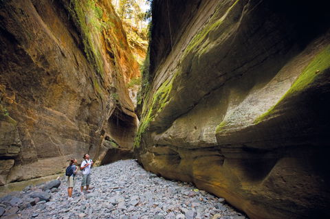 Carnarvon National Park Camping - Foster Accommodation 0