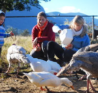 Cedar Glen Farmstay - Foster Accommodation