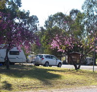 Eidsvold Caravan Park - Foster Accommodation