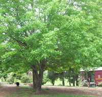 Hill End Holiday Ranch - Foster Accommodation