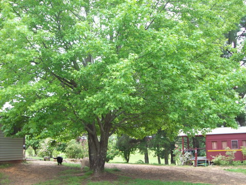 Hill End Holiday Ranch - Foster Accommodation 0