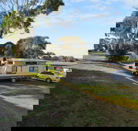 Limestone Coast Tourist Park - Foster Accommodation