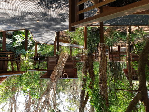 Melaleuca Surfside Backpackers - Foster Accommodation 0