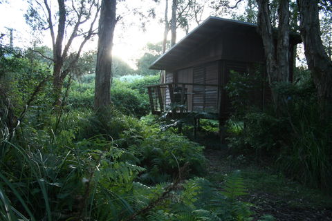 Melaleuca Surfside Backpackers - Foster Accommodation 1