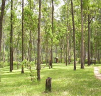 Nymboida River campground - Foster Accommodation