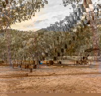 Pinch River campground - Foster Accommodation