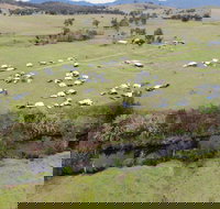 Camp on Allyn - Foster Accommodation