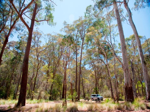 Coolah Tops National Park Camping - Foster Accommodation 0