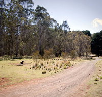 The Pines campground - Foster Accommodation