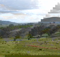 Wantana Cottage Farm Stay - Foster Accommodation