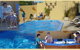 Mandurah Foreshore Motel - thumb 2