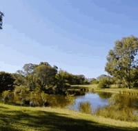 BIG4 Peppermint Caravan Park - Foster Accommodation