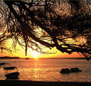 Pelican's Nest - Foster Accommodation
