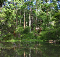 Peppermint Grove Retreat - Foster Accommodation