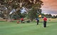 Barham Golf Resort - thumb 0