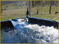 Henlie Park Bed & Breakfast - Foster Accommodation 1