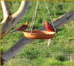 Henlie Park Bed & Breakfast - Foster Accommodation 3