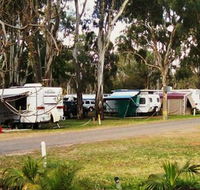 Buronga Riverside Tourist Park - Foster Accommodation