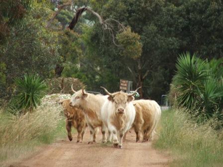 Maleeyas Thai Cafe And Studio Hillside Bamboo Nursery - Foster Accommodation 4