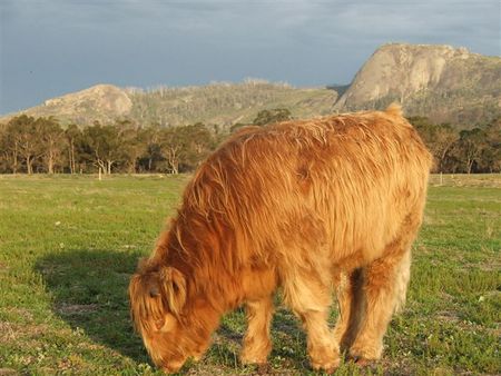 Maleeyas Thai Cafe And Studio Hillside Bamboo Nursery - Foster Accommodation 5