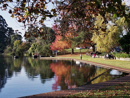 Fontys Pool Caravan Park - Foster Accommodation 0