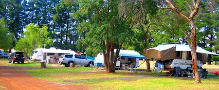 Fontys Pool Caravan Park - Foster Accommodation 1