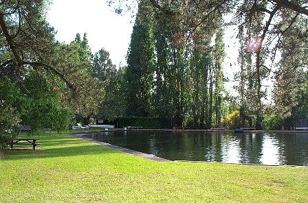 Fontys Pool Caravan Park - Foster Accommodation 2