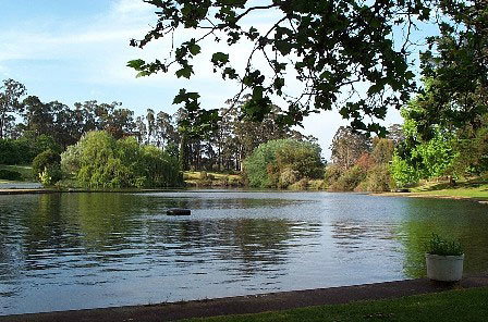 Fontys Pool Caravan Park - Foster Accommodation 3