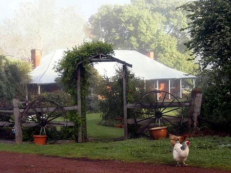 Clover Cottage Country Retreat - Foster Accommodation 4