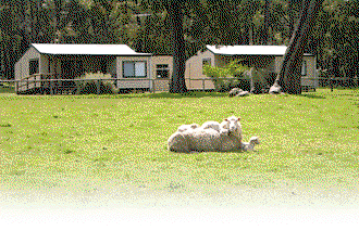 Cambray Cottages - Foster Accommodation 1