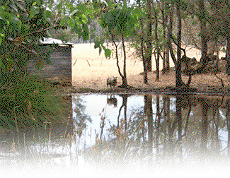 Cambray Cottages - Foster Accommodation 3