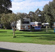 Pinjarra Caravan Park - Foster Accommodation