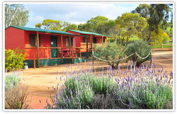 Toodyay Caravan Park - Foster Accommodation 2