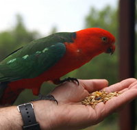 Barrington Tops Escapes - Foster Accommodation